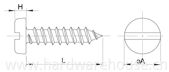 Drawing Self Tapping Screw Slotted Drive D7971